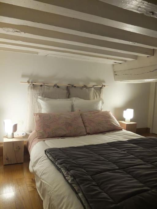 Appartement Charming Flat In Historical Centre à Dijon Extérieur photo